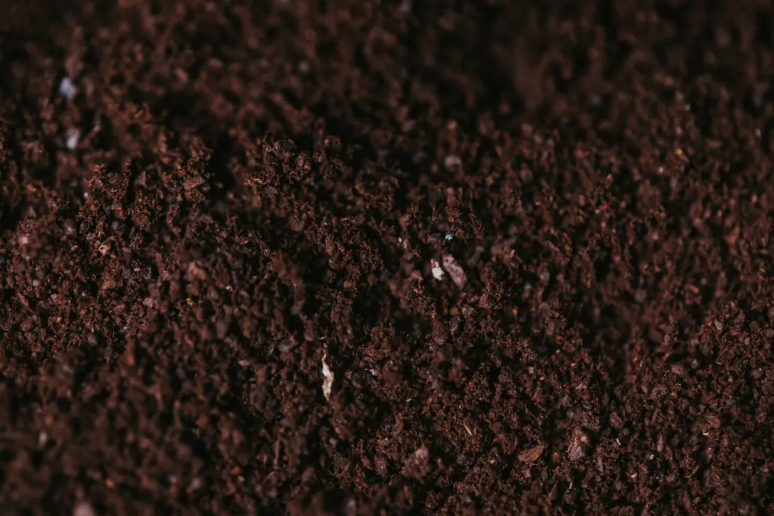 brown soil close-up photography